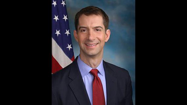 Senator Tom Cotton of Arkansas