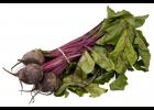 Beets are nutritious and easy to grow. Photo by Evan Amos