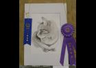 Best of Show and first place pen, ink and water color by Bailey Pickering, 12th Grade, Penney High School.