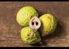 Black walnuts. Photo by David Stonner, courtesy Missouri Department of Conservation