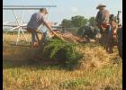 Kendall Morgan driving the Farmall with Bob Blades riding shotgun on the power binder pulling out large weeds among the oats being fed along the belt.