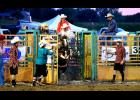 Dalton Gatrel riding CR McKellips bucking pony
