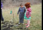 Pre-K students Tanner Woodard and Elizabeth Stemberger admiring their fruit tree.