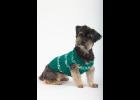 If it’s too cold for you, it’s too cold for your pets.